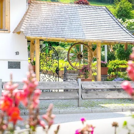 Schwarzwaldhaus Simmelehof Апартаменты