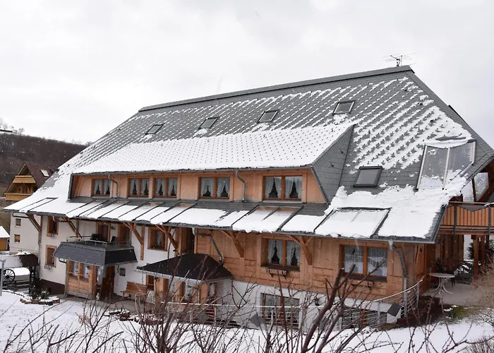 Apartament Schwarzwaldhaus Simmelehof