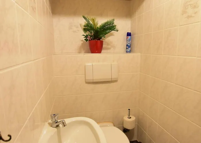 Apartamento Schwarzwaldhaus Simmelehof