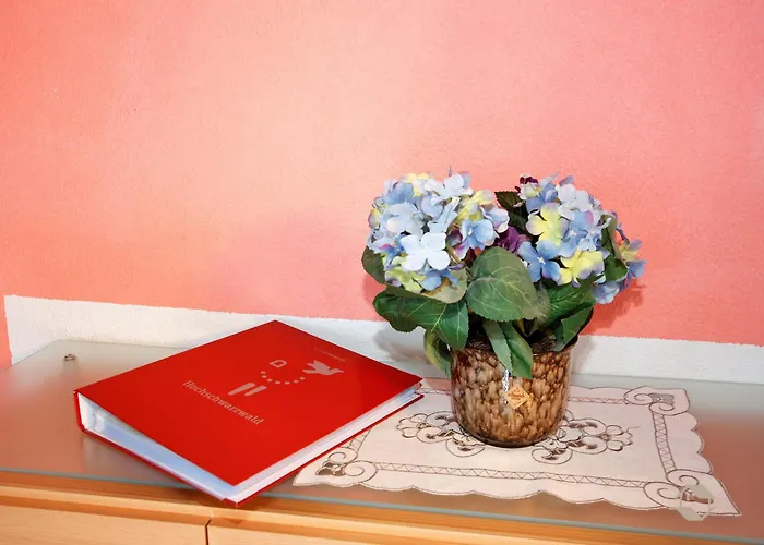 Schwarzwaldhaus Simmelehof * Lenzkirch